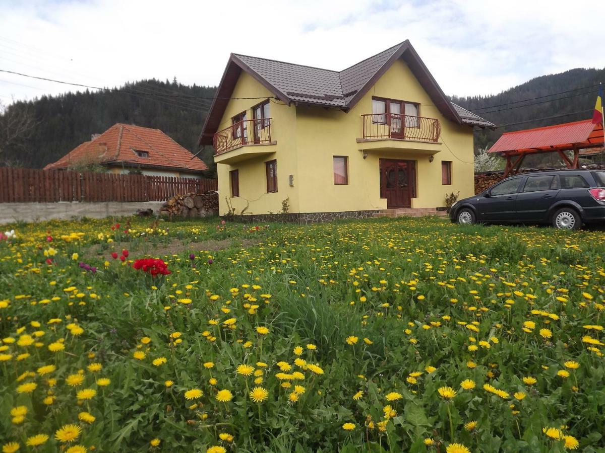 Casa Magnolia Hotel Tulghes Bagian luar foto